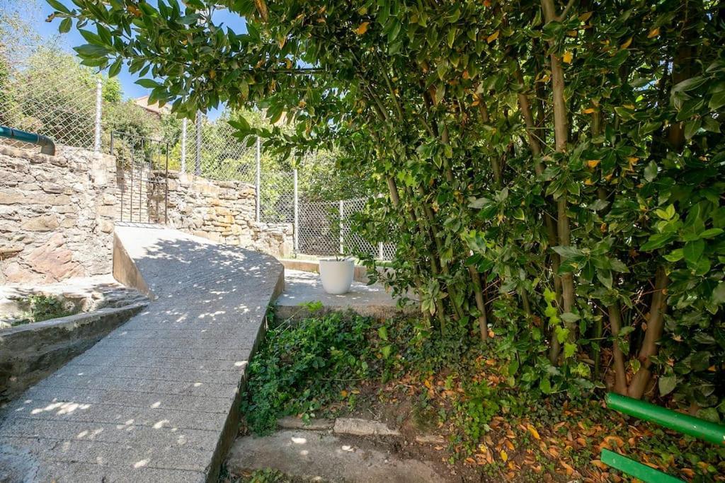 Casa Feli - Apartamento Con Jardin Privado En Los Pirineos Castiello de Jaca Exterior photo