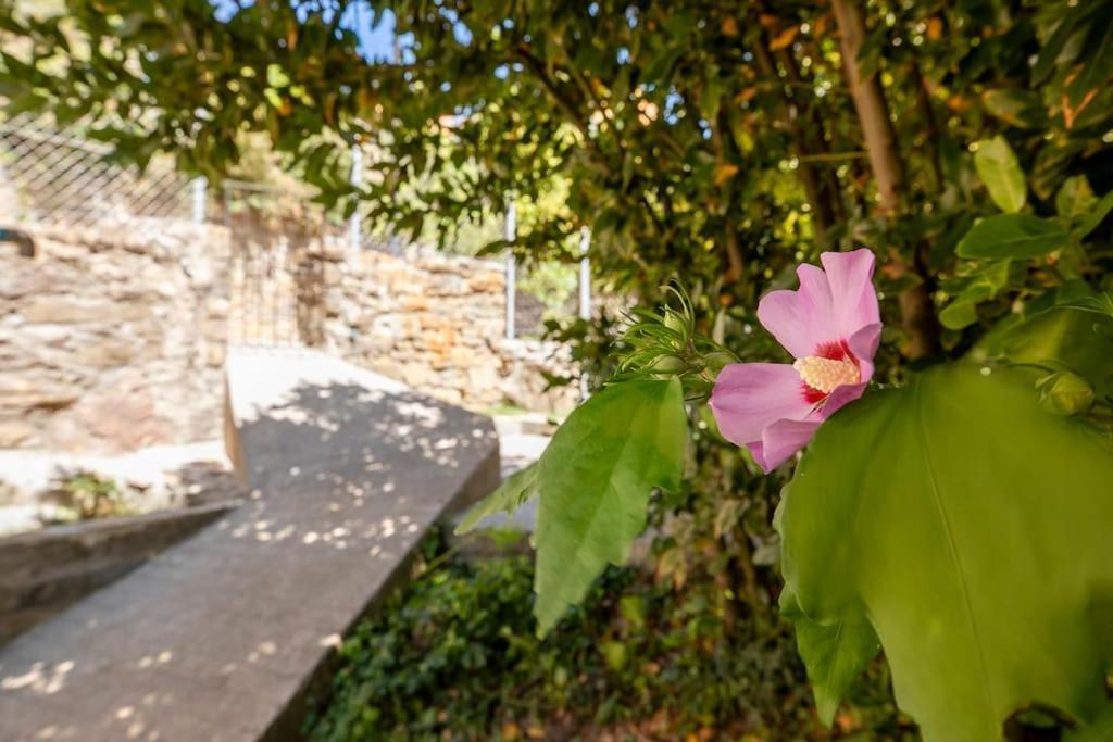 Casa Feli - Apartamento Con Jardin Privado En Los Pirineos Castiello de Jaca Exterior photo